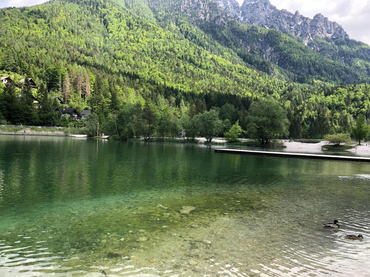 VILA Mojca - APARTMENT PERIDOT Kranjska Gora Exterior foto